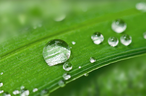 水珠 水珠
